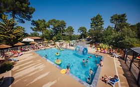 Les Pins De La Coubre